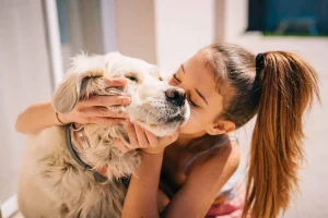 Pet quality of life scale explained